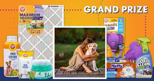 Grand Prize Winner 2026 PNG