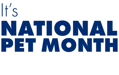 Its National Pet Month Headline Its National Pet Month Headline