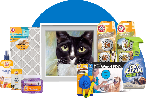 Pet Month With CatAsset 1 Pet Month With CatAsset 1