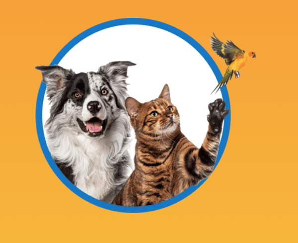 Screenshot 2026-04-07 112104